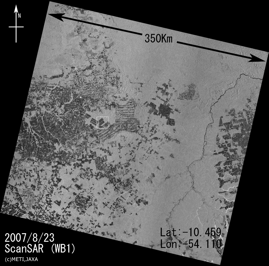 Deforestation In Brazil. Deforestation in Brazil (Mato