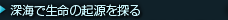 [CŐ̋NT