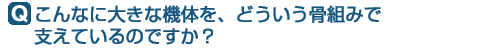 Q.Ȃɑ傫ȋ@̂Aǂg݂ŎxĂ̂łH
