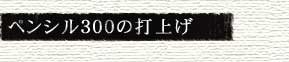 yV300̑ŏグ