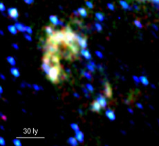 }[_̒Vc[B0104-72.3ỉ_30N̑傫j