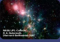 SST̒a(NGC1333)
