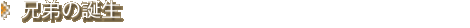 Z̒a
