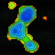 `hqŊϑAX J2019+1127B͒cł͂ȂA̏ȓV̂ʁXɋPĂ邱ƂBi񋟁FChartas et al.i2001jThe Astrophysical Journal 550, L163j