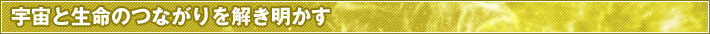 FƐ̂Ȃ