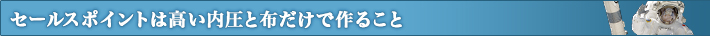 Z[X|Cg͍ƕzō邱