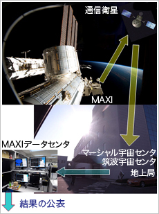 MAXȊVXe