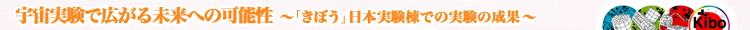FōL関ւ̉\`uڂv{ł̎̐ʁ`