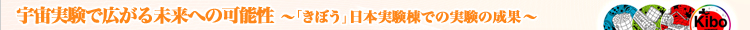 FōL関ւ̉\`uڂv{ł̎̐ʁ`