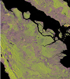 ChlVÃX}gBΐF͐XсAF͔̒n邢͔XтB©JAXA,METI analyzed by JAXA