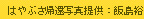 ͂ԂAҎʐ^񋟁FѓT