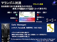 図1 (提供:東京理科大学)