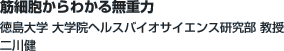 ؍זE킩閳d́@w w@wXoCITCGX y 쌒