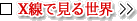 XŌ鐢E