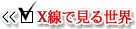 XŌ鐢E