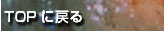 TOPɖ߂