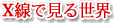 XŌ鐢E