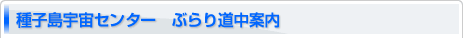 qFZ^[@Ԃ蓹ē