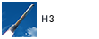 H3