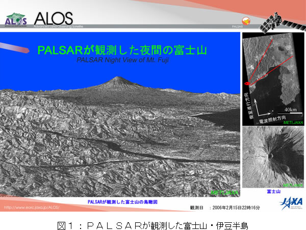 }1FPALSARϑxmREɓ
