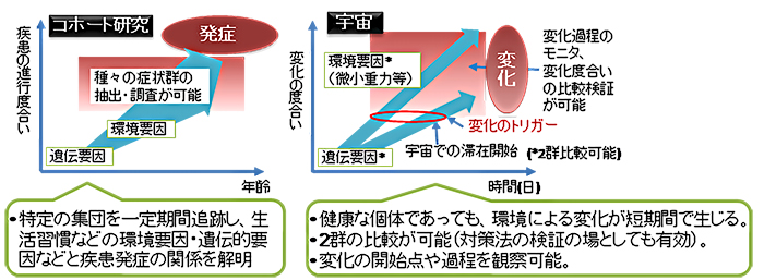コホート研究ときぼう利用における疾患予測の概念