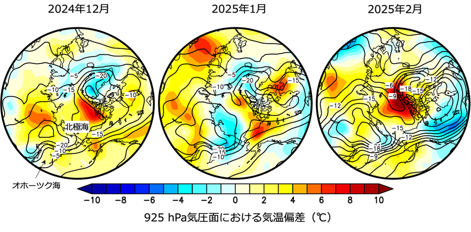 大気再解析データ(NCEP-NCAR Reanalysis 1※8)に基づいて算出した2024年12月(左)、2025年1月(中)、2025年2月(右)の925hPa気圧面における気温偏差(℃)の空間分布。