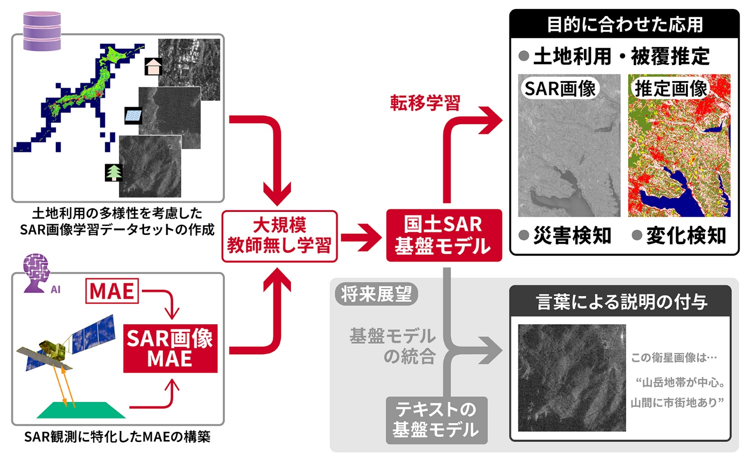 国土に特化したSAR基盤モデルの構築と期待される応用。日本全体の土地利用・土地被覆図に用いた高解像度土地利用土地被覆図はJAXAより提供。