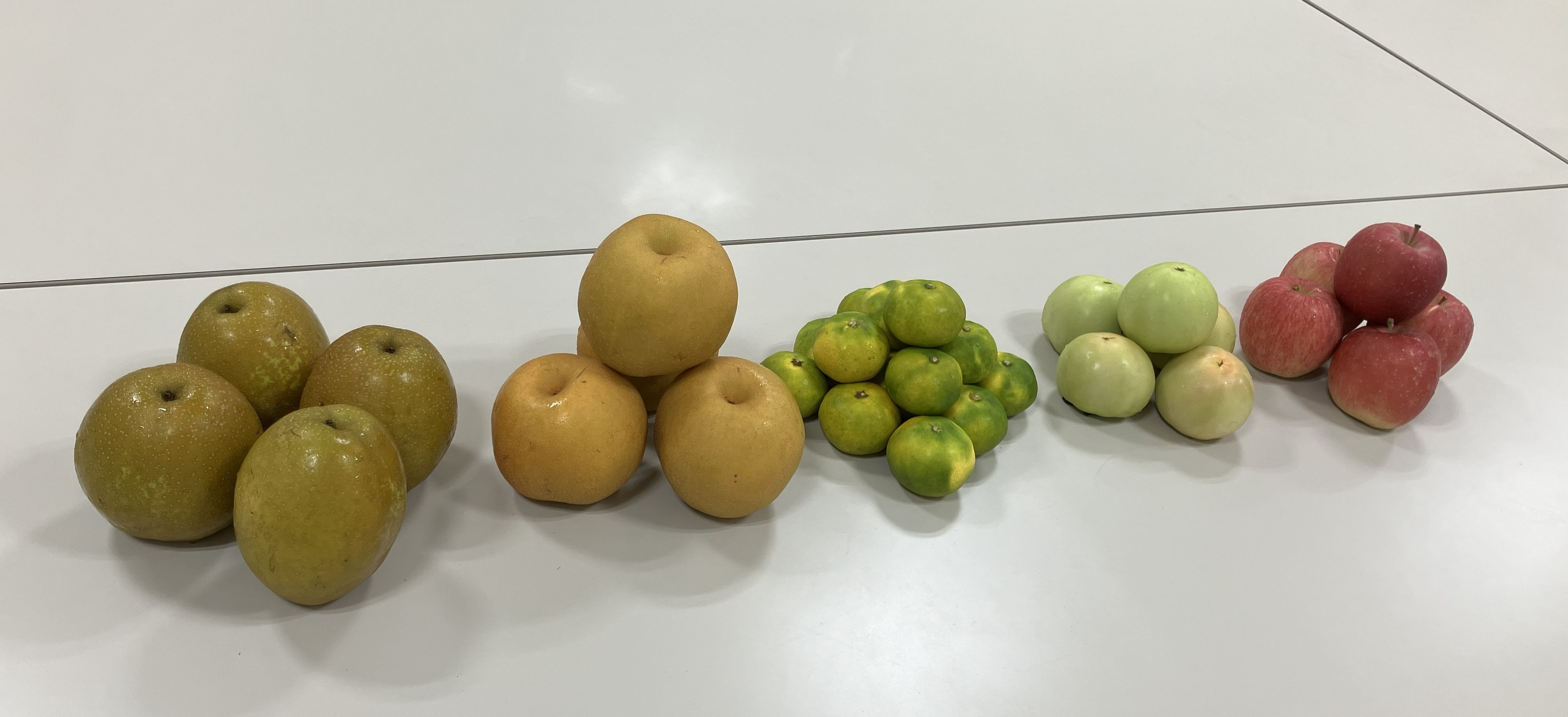 ©(公財)流通経済研究所(DEI)