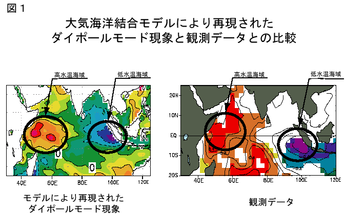 ダイポール モード 現象