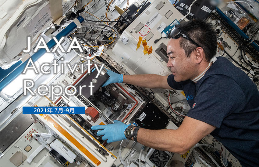 Activity report