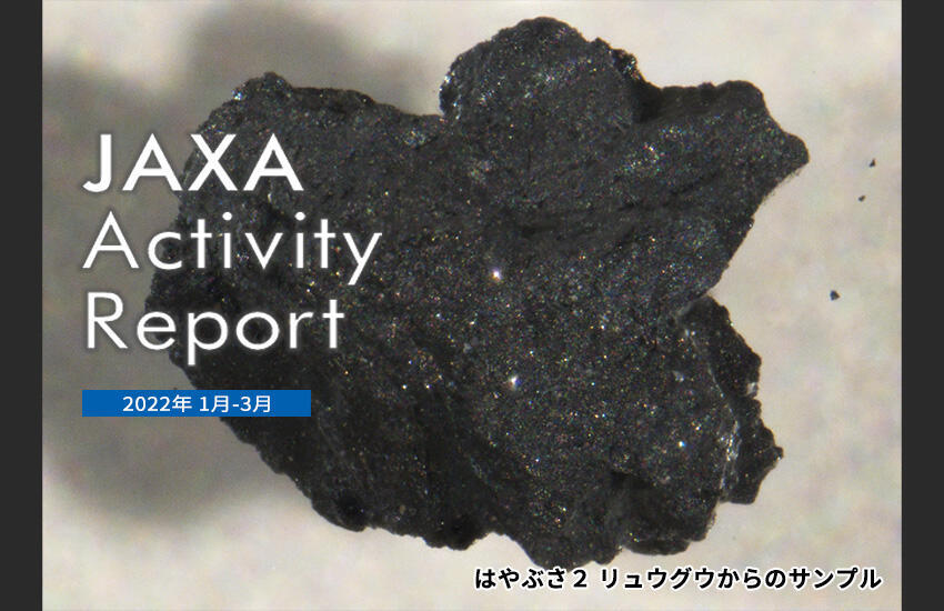 Activity report