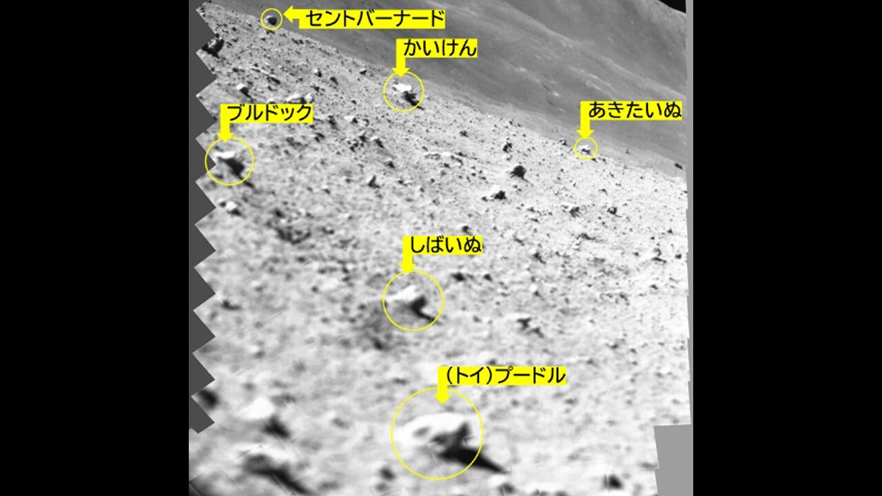 小型月着陸実証機（SLIM）搭載マルチバンド分光カメラ（MBC）による撮影画像