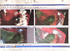 「だいち」と「ランドサット」の衛星画像を使った小学生のレポートの一部