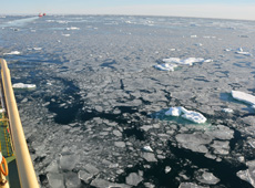 船上から見た北極海の海氷