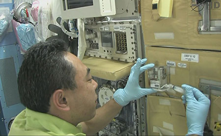 宇宙環境における生命科学の研究