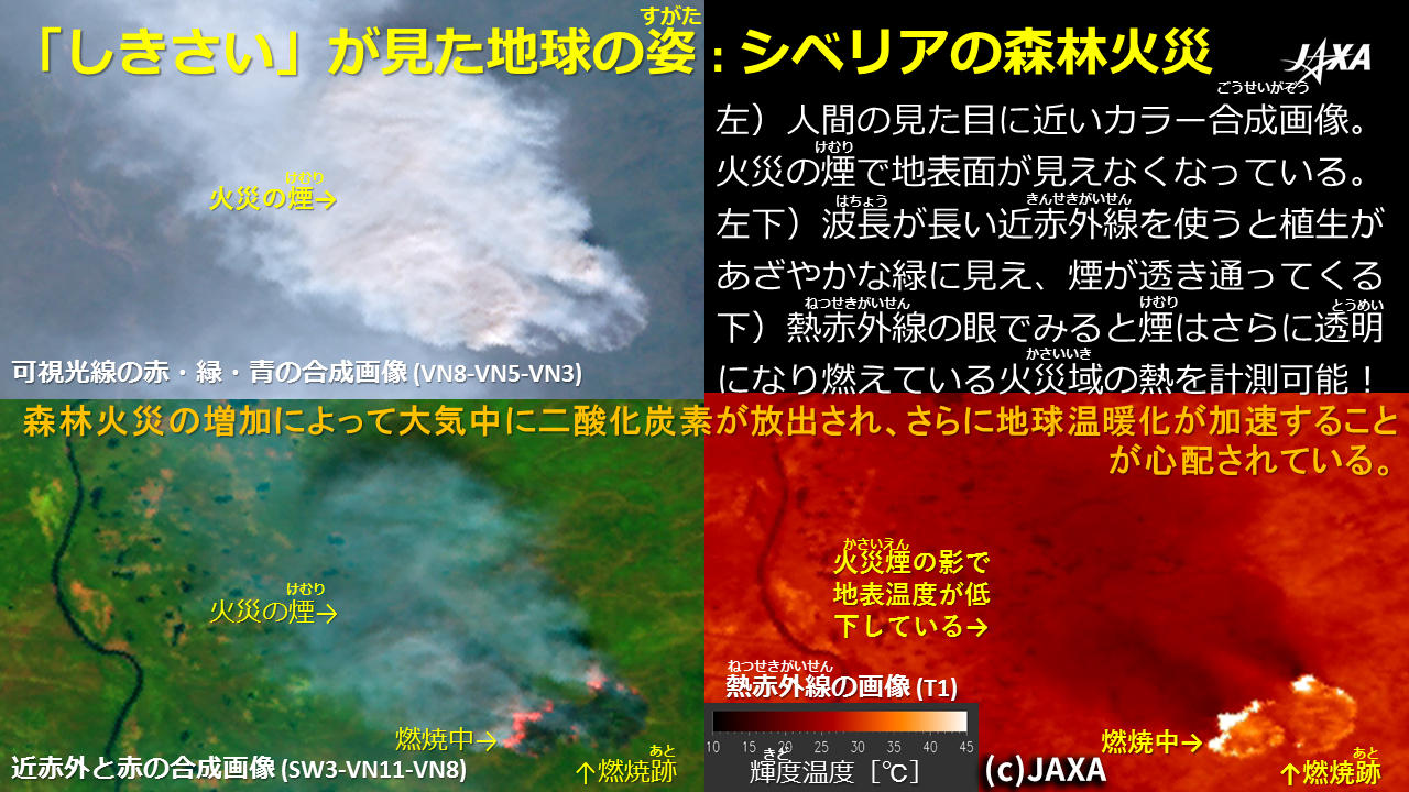 森林火災をさまざまな波長で観測すると、可視光では見えない燃焼中の様子も見えてくる(当日の資料より)