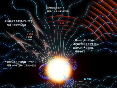 「あかつき」が明らかにした太陽風加速