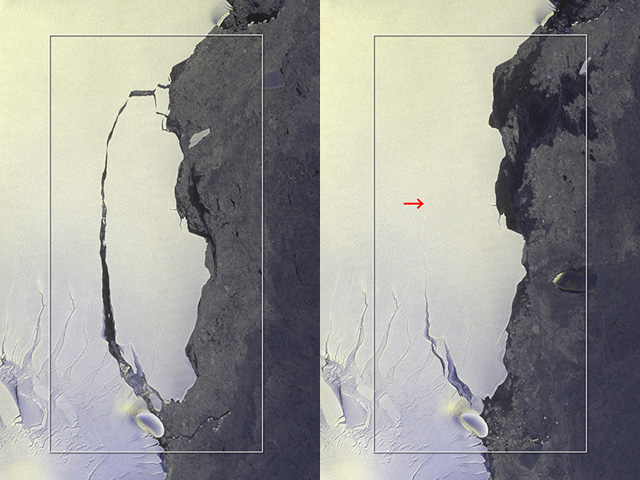 「だいち2号」が捉えた、南極半島Larsen-C棚氷で発生した大規模な氷山分離