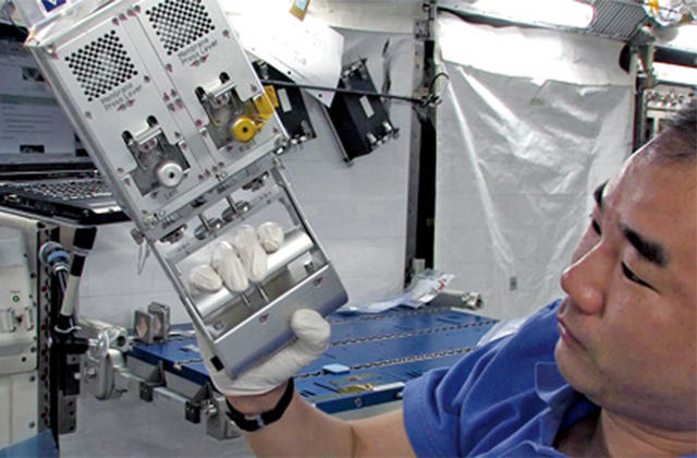 宇宙空間で引き起こされる骨吸収がメラトニンによって抑制