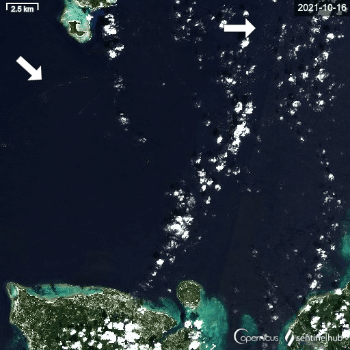 沖縄本島北西部の欧州宇宙機関のSentinel-2の観測画像(動画)