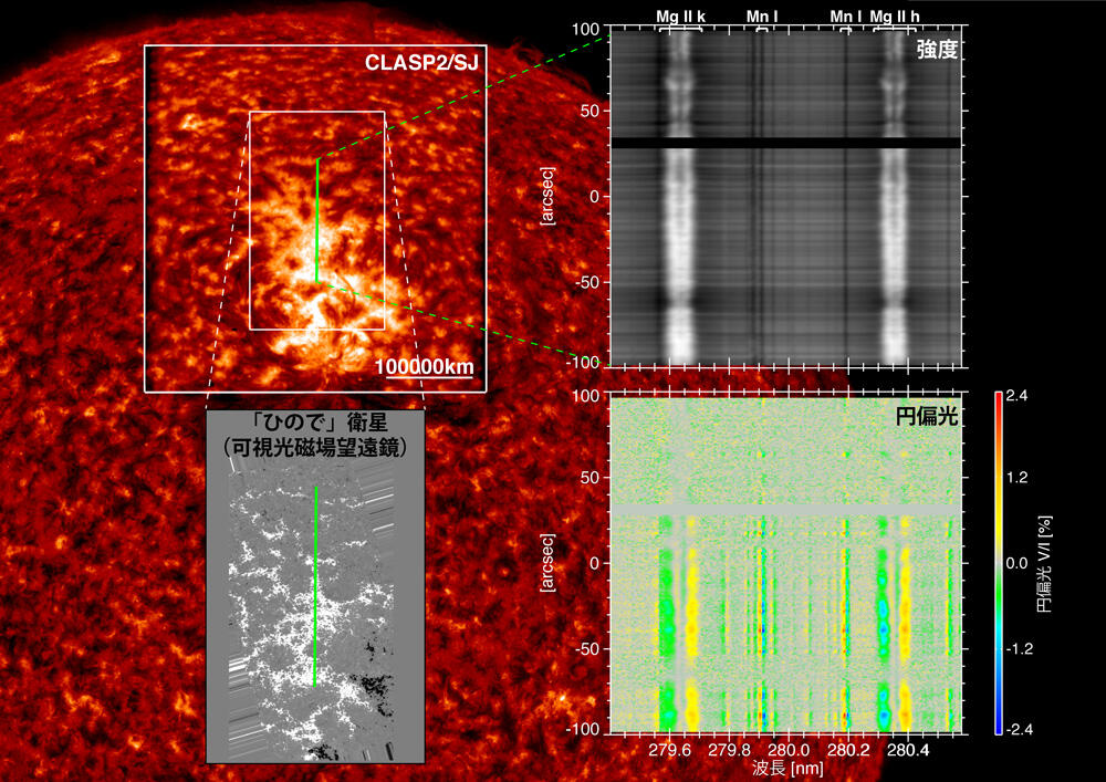 図1観測ロケット実験CLASP2と「ひので」衛星の共同観測から明らかになった、太陽表面から彩層最上部に至る磁束管の様子。4つの高さ(太陽表面、彩層低・中・最上部)で磁場を観測した。©国立天文台