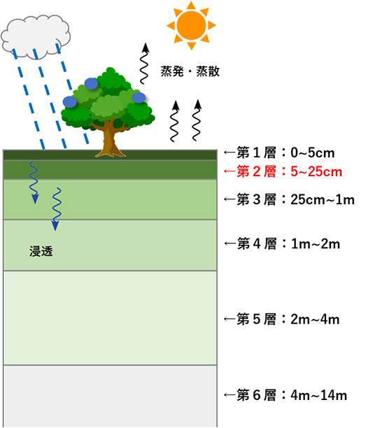 (左)TE-Japanが表現する陸上での水収支のイメージと土壌の各層の厚さ